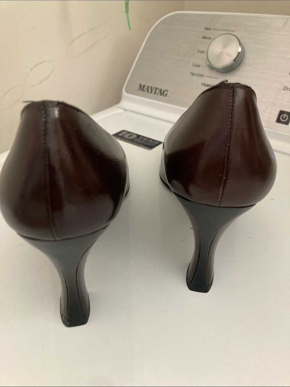 St. John Brown and Black Pointed Toe Pumps with Cream Piping - Picture 4 of 4